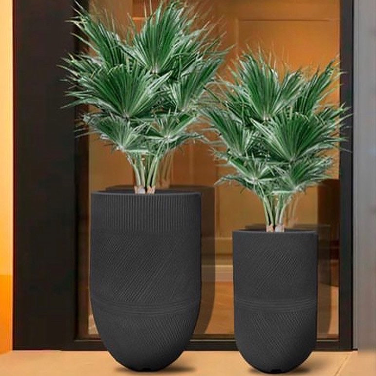 Argos 36x72 cm