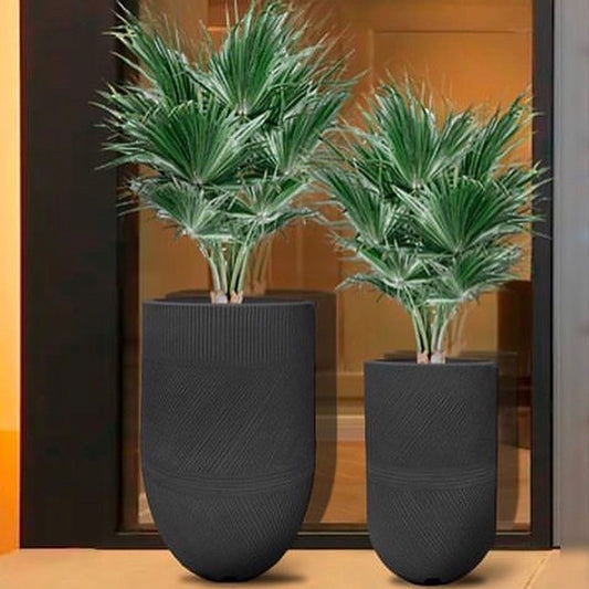 Argos 36x72 cm